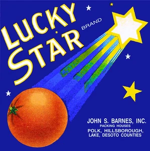 f41 Polk Florida Lucky Star Orange Citrus Fruit Vintage Crate Label Fridge Mag - Picture 1 of 1