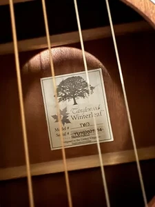 6 string acoustic guitar --Tanglewood TW3 Parlor guitar.  pick up only or..... - Picture 1 of 6