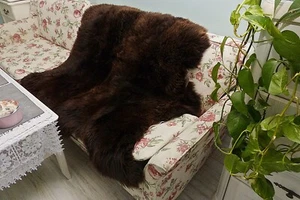 Real DOUBLE Brown Sheepskin Carpet Winter Home Decor Plush Bedside Sheepskin Fur - Picture 1 of 9