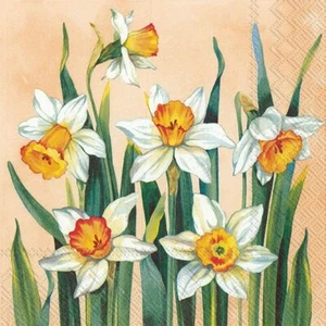 3-Ply Cocktail Beverage Paper Napkins, 5" White Narcissus Apricot New - Picture 1 of 1