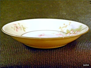 MUY BONITO TAZÓN DE FRUTA/SALSA DE 5" ~ Patrón de flor de manzano por THEODORE HAVILAND NY - Imagen 1 de 5