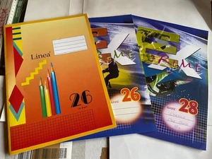 3 Schulhefte A4 Lineatur 26 + 28 kariert mit Rand bzw Randlinie je 16 Blatt - Bild 1 von 2