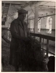 Farmer in Denmark Working 1900 - 1950s Rare Vintage Photo Small Size 11x8cm - Picture 1 of 1