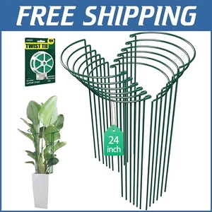 12-Pack 24-Inch Half-Round Plant Support Stakes for Bushy Hydrangeas & Tomatoes - Picture 1 of 9