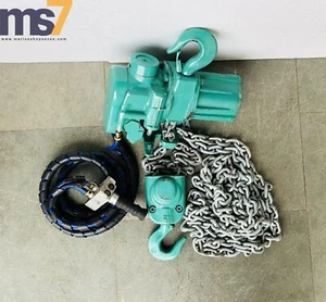 J.D. NEUHAUS PROFI PNEUMATIC AIR CHAIN HOIST 2 TON CAPACITY 10 FT. CHAIN - Picture 1 of 9