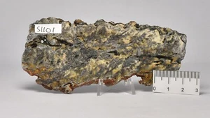 MICROBIAL MAT, Dresser Fmt, Stromatolite, North Pole Dome, Australia 85g, S1101 - Picture 1 of 3