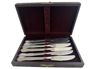 Oneida OAKLEIGH Set di 6 coltelli lucidi Thor Royal inox OHS103 in una custodia - Foto 1 di 8