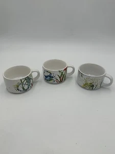 3 Pier 1 Imports Steinzeug Keramik Kaffeetassen Sea Life Seepferdchen Krabbe Koralle Fisch - Bild 1 von 11