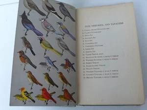 PETERSON A FIELD GUIDE TO WESTERN BIRDS HOUGTHON MIFFLIN CY 1941 USA - Picture 1 of 12
