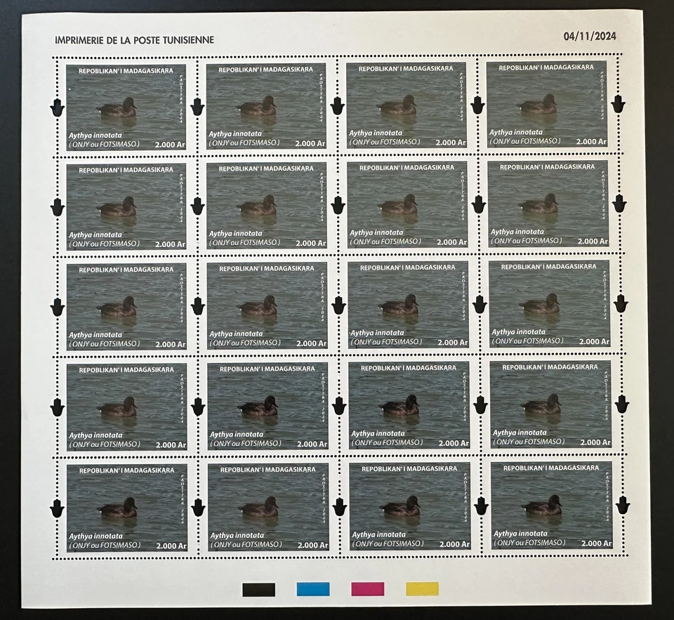 Madagascar 2024 / 2025 Mi. ? planche Canard Duck oiseau Bird Aythya innotata - Photo 1/1