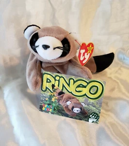 TY Beanie Baby RINGO Racoon 1998 Vintage Plush Stuffed Animal Toy BONUS TY Card - Picture 1 of 4