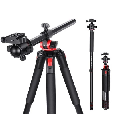 NEEWER N284L+G0D 79" Tripod/Monopod - 33lb Load, Ball Head, w/ Bag - Image 1 of 4