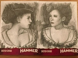 HAMMER SERIES 1 THE CLASSICS: DUAL PANEL SKETCH CARDS: TWINS OF EVIL BY ANDY FRY - Picture 1 of 1