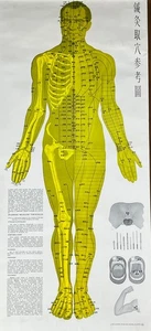 Richard Nixon Acupuncture Chart Diagram Poster 1972 Political Satire RARE 1/25 - Picture 1 of 22