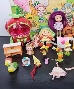 De colección Fresa Pastel Corto Grande Lote De Mascotas Paños Muñecas Juego Piezas Etc - Imagen 1 de 21