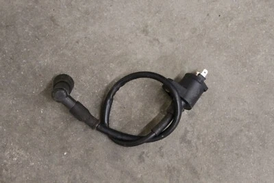 Arctic Cat 2006 50 CC bobina y bujía cable 4 tiempos KFX50 06 Foto 1 de 4