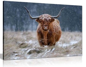 Brown Highland Cow in Snow Fields Framed Canvas Print Wall Art Home Decor - Picture 1 of 6