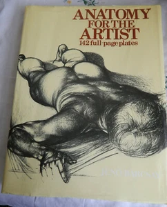 Anatomy for the Artist by Jenö Barcsay (1993, Hardcover) - Picture 1 of 4
