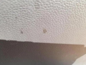 82481A2700 mécanisme lève vitre avant droit pour KIA CEED (JD) 1.0 2012 5007154 - Picture 1 of 4