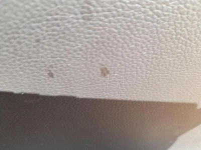 82481A2700 mécanisme lève vitre avant droit pour KIA CEED (JD) 1.0 2012 5007154 - Image 1 of 4