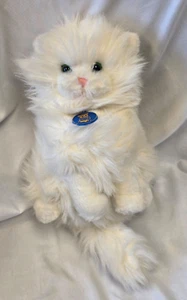 Peluche gatto persiano Dakin Nature Babies 12" realistico bianco vintage peluche - Foto 1 di 7