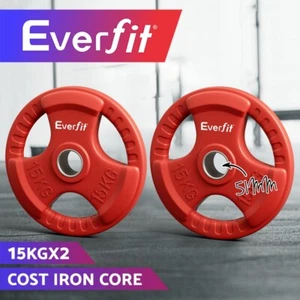 Everfit Weight Plates Standard 15kgx2 Dumbbell Barbell Plate Weight Lifting Gym - Picture 1 of 8