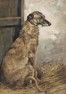 DEERHOUND BEAUTIFUL SITTING DOG GREETINGS NOTE CARD - Foto 1 di 1