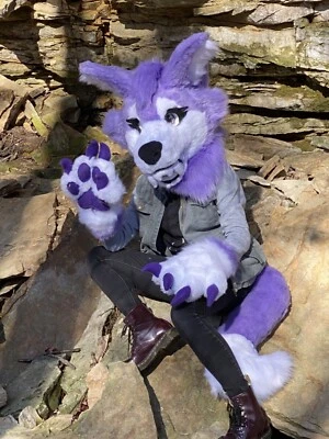 Fursuit parcial Fennec Fox - Imagem 1 de 3