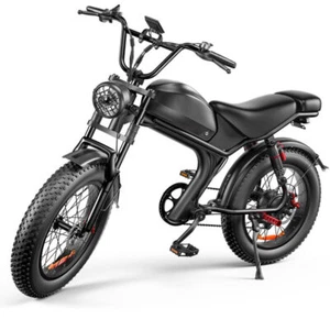 20" Electric Bike 1000W 48V 20Ah Motorcycle Large Remove Battery Mountain E-Bike - Picture 1 of 18