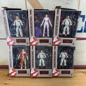 Ghostbusters Plasma Series Juego Completo 6" Hasbro Lote *¡Fantasma Desaparecido! - Imagen 1 de 13