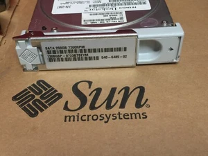 SUN XRB-ST1CE-250G7K,390-0352-03, 540-6485-02, 250GB SATA Drive , Test-PASS - Picture 1 of 11