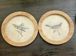 Bird Prints In Round Frame/Wall Art - Picture 1 of 3