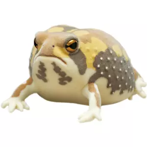 Nature Techni Colour Flocky Figure Bushveld Rain Frog Yellow Ikimon Japan - Picture 1 of 7