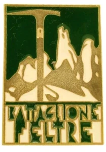 Distintivo Smaltato Ww2 ALPINI BATTAGLIONE Feltre DISTINTIVO - Foto 1 di 1