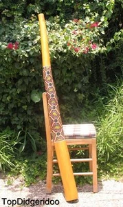 Termite Hollowed DIDGERIDU 59"\150cm Aborigin Dot-Painted +Bag+Beeswax+Free Ship - Picture 1 of 7