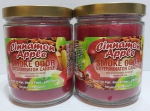 13oz Jar Candle, Cinnamon Apple - Pack of 2 - Picture 1 of 1