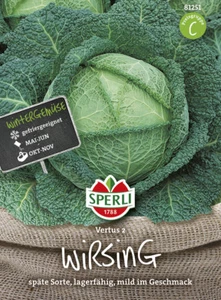 2x Wirsing 'Vertus 2' - Brassica oleracea, cavolo, tardivo e conservabile, semi, 81251 - Foto 1 di 2