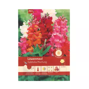 Löwenmaul halbhohe Mischung Löwenmäulchen kleines Löwenmaul Schnittblume 200 Pfl - Bild 1 von 2