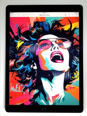 Apple iPad Pro 12.9" (A1584) 32GB, Space Gray, WiFi Only Good B+ - Image 1 of 4