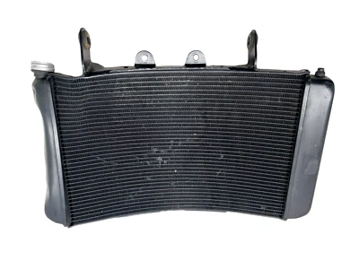 RADIATORE ACQUA CON BOZZO (NO PERDITE) KTM 890 DUKE R 220/2022 63635010133 Foto 1 de 4