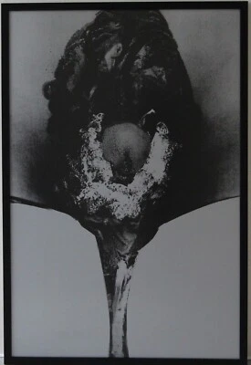 Grafik Print Siebdruck Otto Piene Addis Abeba Handsigniert 1972 Auflage 43/90 - Bild 1 von 4