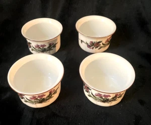 Set Of 4 Villeroy & Boch "BOTANICA" Ramekins...Discontinued Pattern...MUST SEE!! - Picture 1 of 5