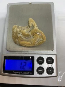 crowley ridge rock agate pattern fortified polished 1.21oz 1 3/4 X1 X.8  - Picture 1 of 6