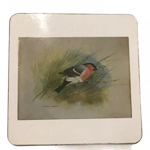Sheraton 1970's 6 Small Placemats Drinks Coasters Wild Birds Tea Coffee Bar - Picture 1 of 12