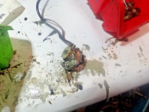 1975 Yamaha DT 175   2 cycle Oil  Injection pump - Bild 1 von 9