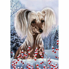 Chinese Crested Winter Berries Flag