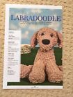 Larry The Labradoodle - Cuddly Toy Dog Knitting Pattern
