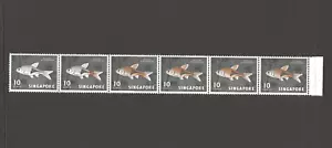 SINGAPORE 1962/66 SG 69 + 69bv MNH - Picture 1 of 2