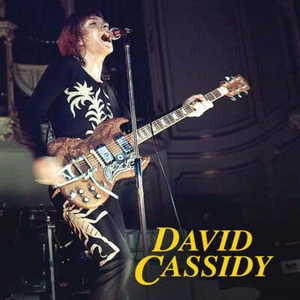 David Cassidy - I Think I Love You - Greatest Hits Live (CD + DVD) - Bild 1 von 1