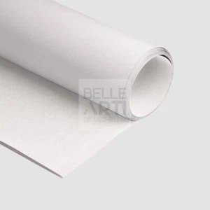 CARTA PASTELMAT IN ROTOLO 270 GR F.TO 5X1,4 METRI - BIANCO - Picture 1 of 1